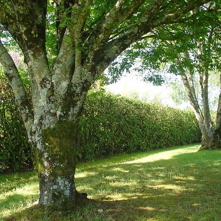 Chambre D'Hotes Bellevue Bressuire Dış mekan fotoğraf